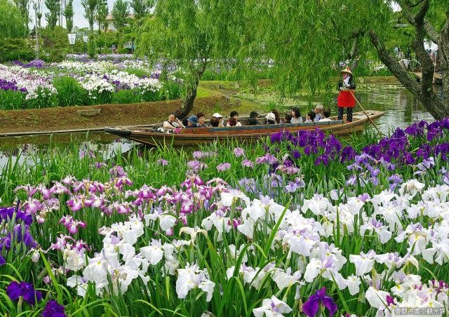 水郷佐原水生植物園