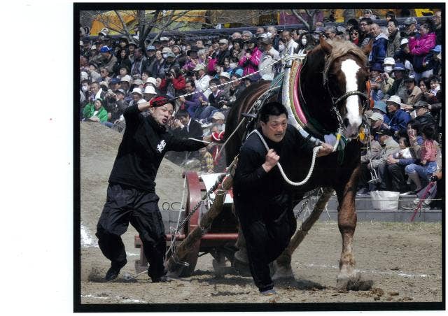 輓馬大会