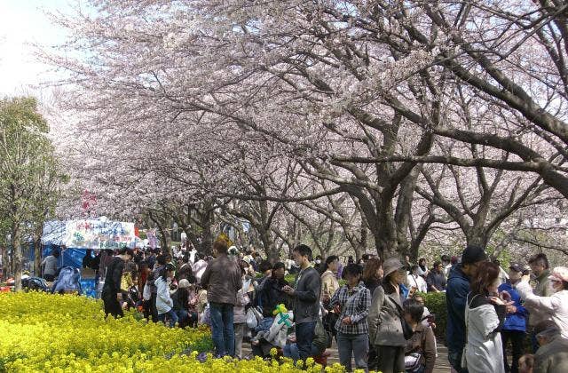 尾根緑道会場