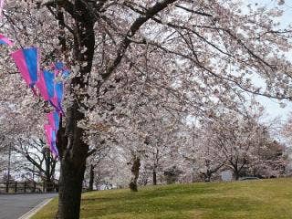 足利公園