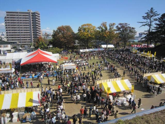 宇都宮餃子祭り2012