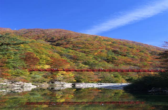 抱返り渓谷（神の岩橋）