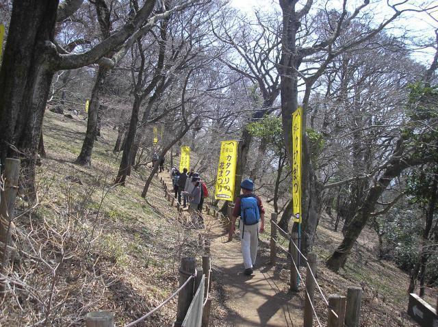 筑波山頂カタクリの里特別開放