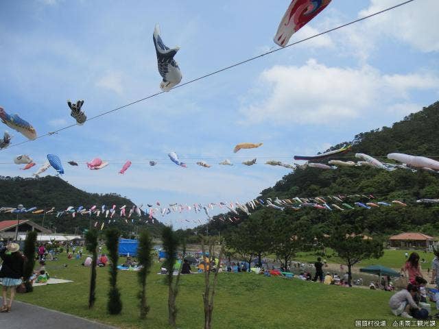 奥川上空を泳ぐこいのぼり