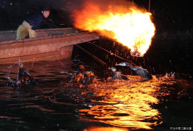 Cormorant Fishing on Uji River