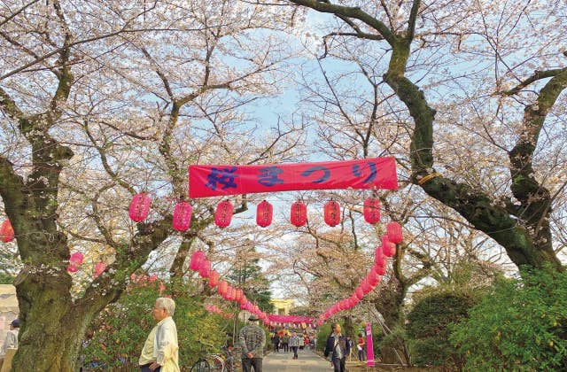 中野通り桜まつり