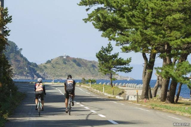 椿山～大島間