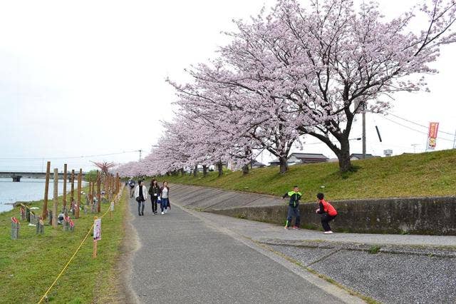 今川堤サイクリングロード