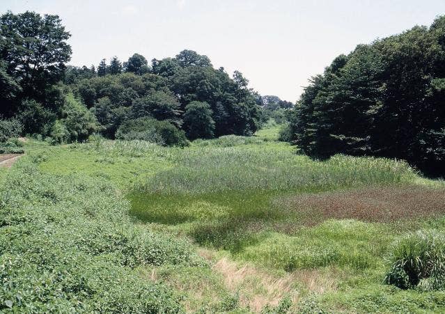 高尾宮岡ふるさとの緑の景観地