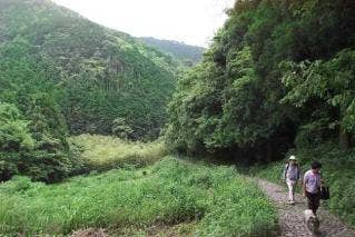 鹿ヶ瀬峠石畳道ハイキングコース