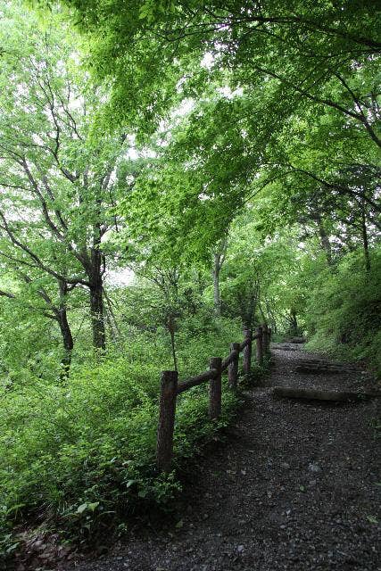 鹿狼山・眺望コース