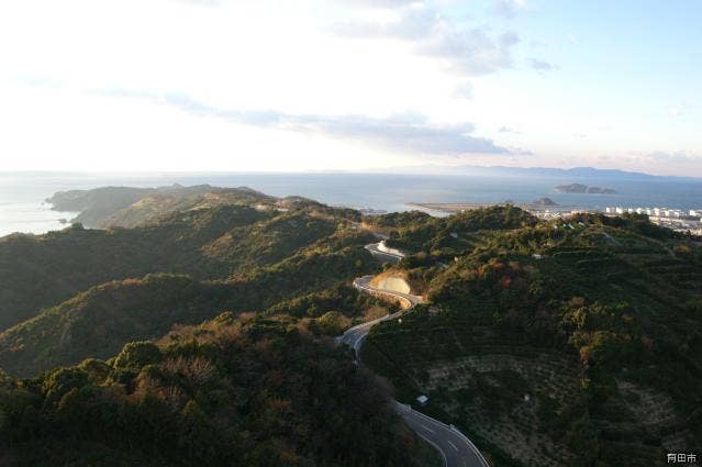 有田みかん海道