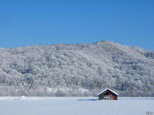 冬の山