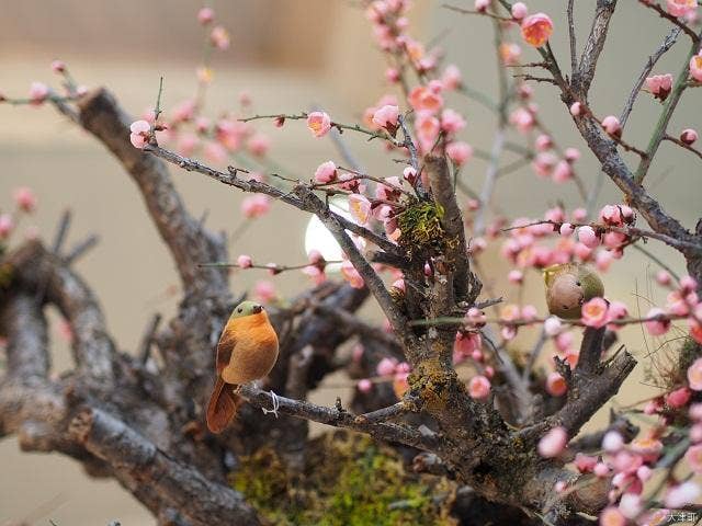 梅の造花