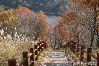 母畑湖畔遊歩道