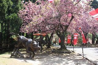 倶利伽羅県定公園