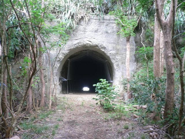 遊歩道ルート上のトンネル入口