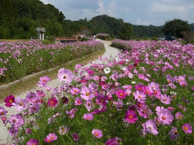 うまくたの路