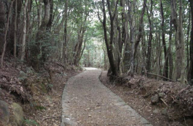 安満岳遊歩道