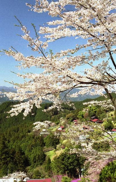 顔振峠