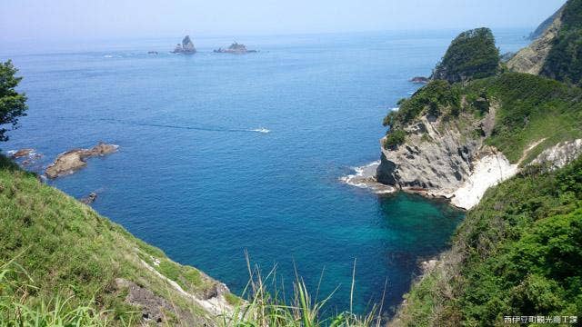 燈明ケ崎遊歩道から望む田子島