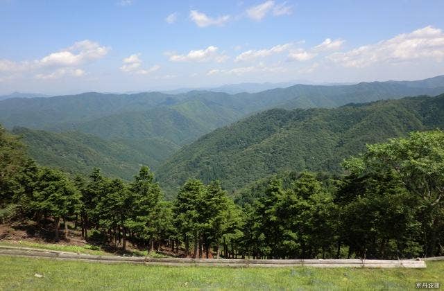 長老山森林公園