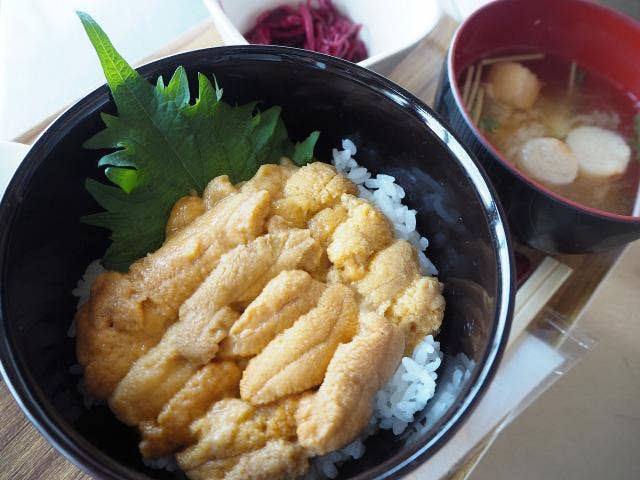 ウニ丼