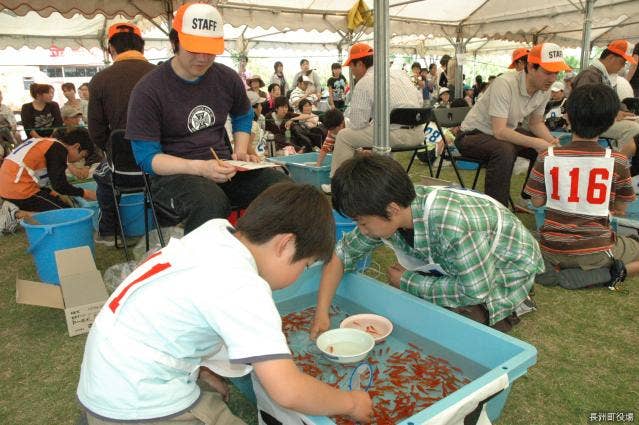 九州金魚すくい選手権大会