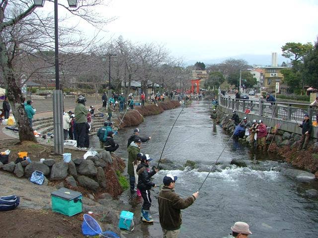 富士宮ますつり大会