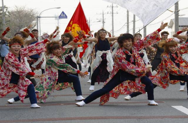 おかべコスモス祭