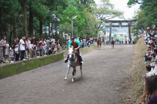 須賀神社の馬駆け