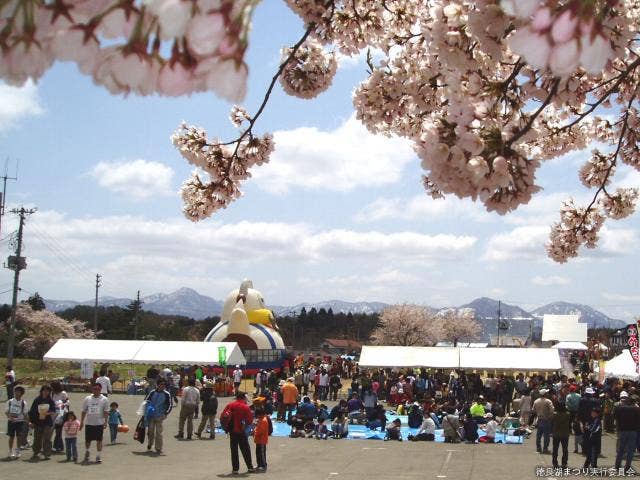 桜咲く徳良湖まつり