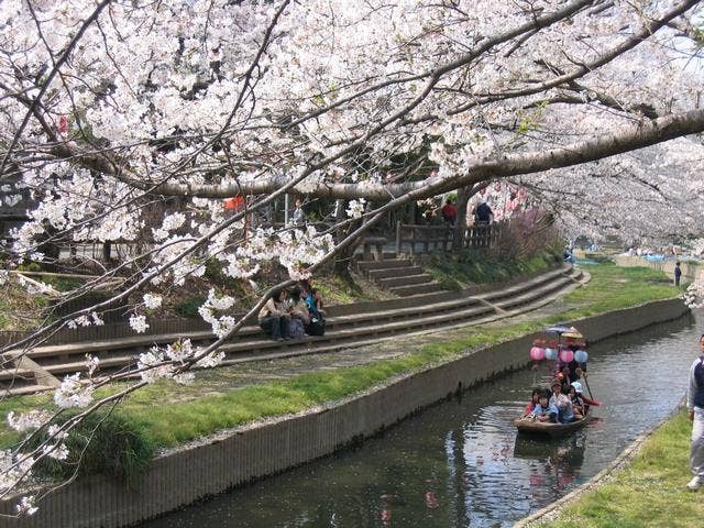 さくらまつり（吹上会場）