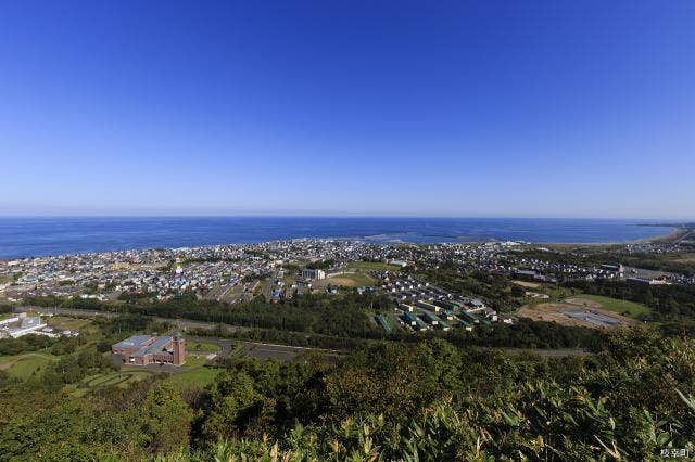 枝幸町