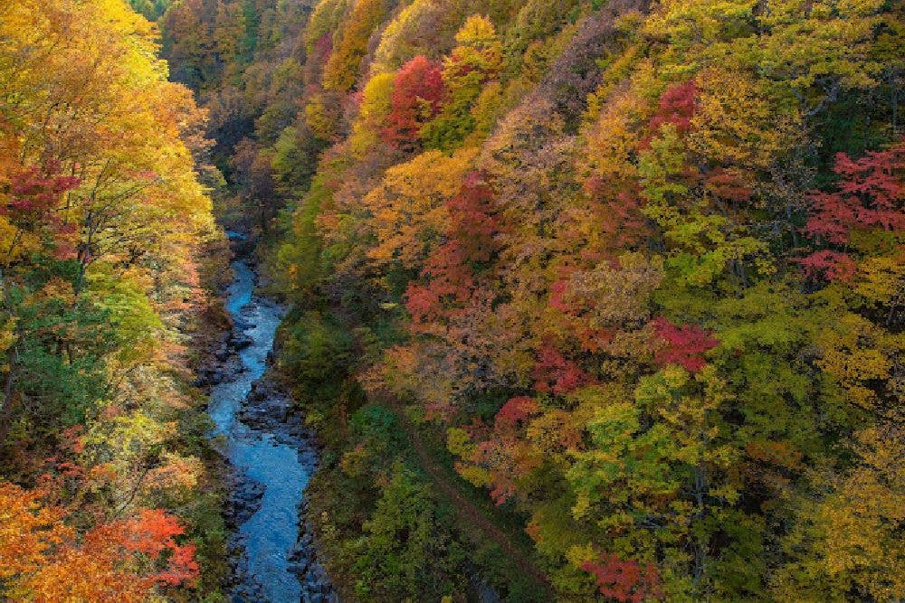 裏磐梯高原（中津川渓谷）の紅葉