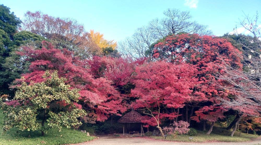 小石川後楽園