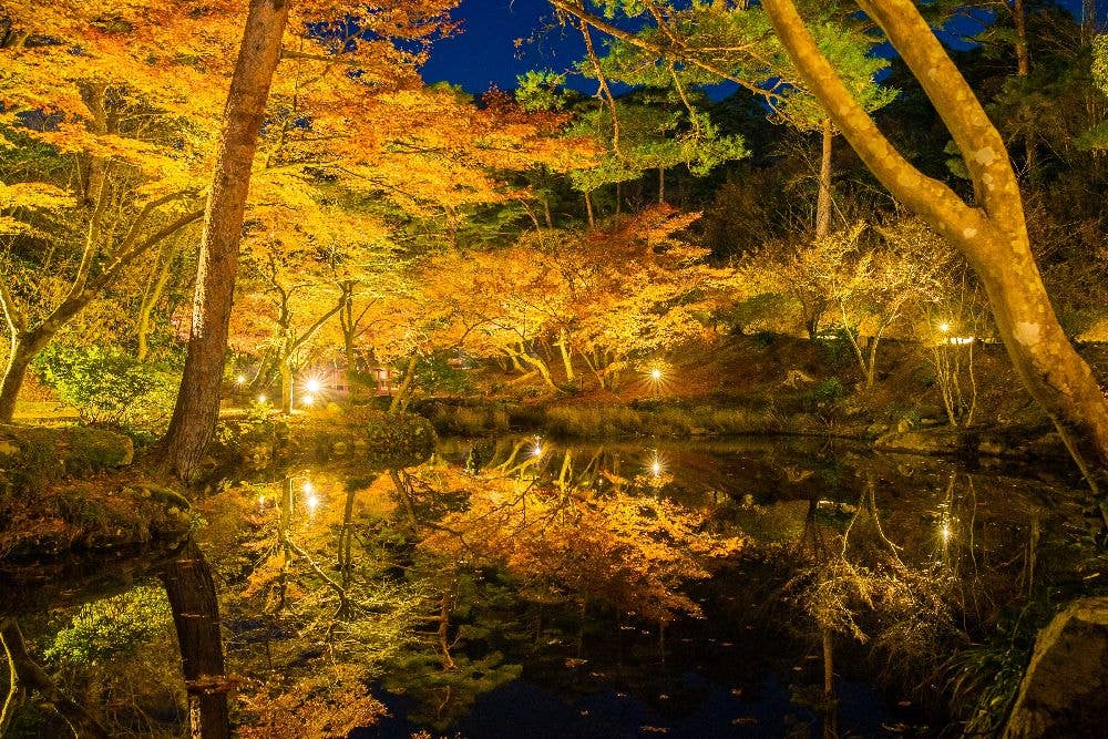 弥彦公園の紅葉