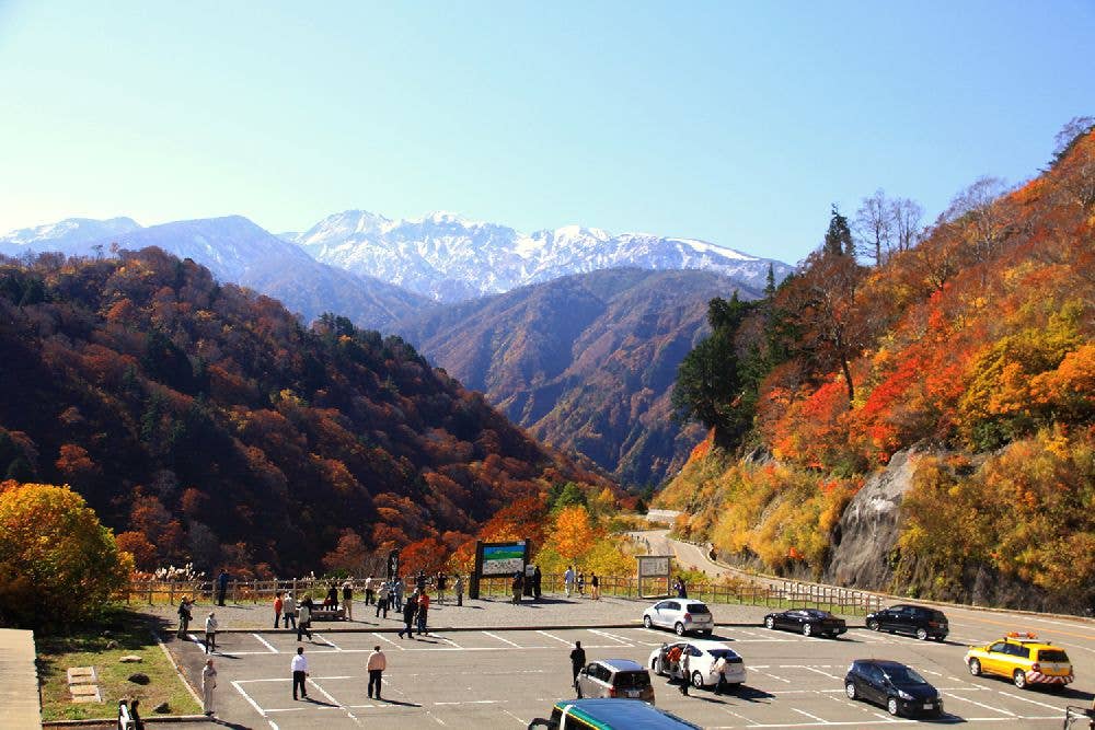 白山白川郷ホワイトロード（栂の木台駐車場：標高1,400m付近）