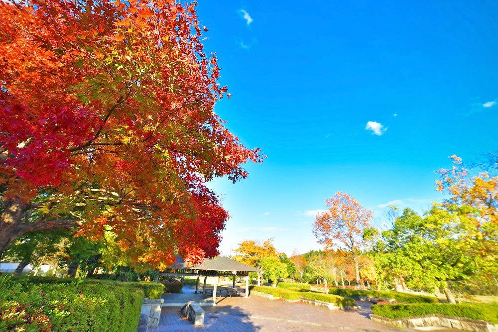 越前陶芸公園