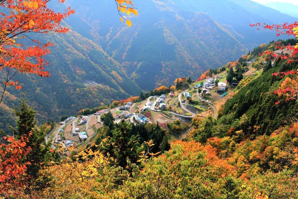 しらびそ高原・下栗の里