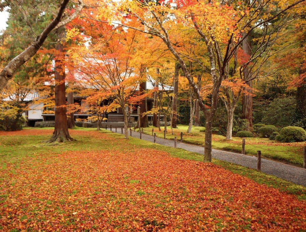 大原（三千院）