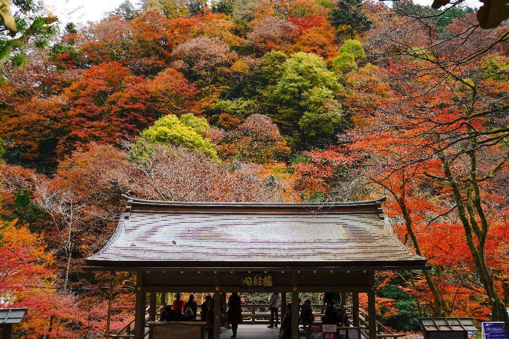 洛北（貴船神社）の紅葉