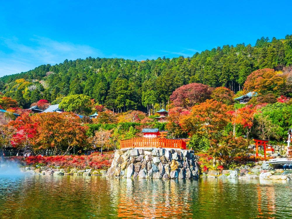 箕面（勝尾寺）の紅葉