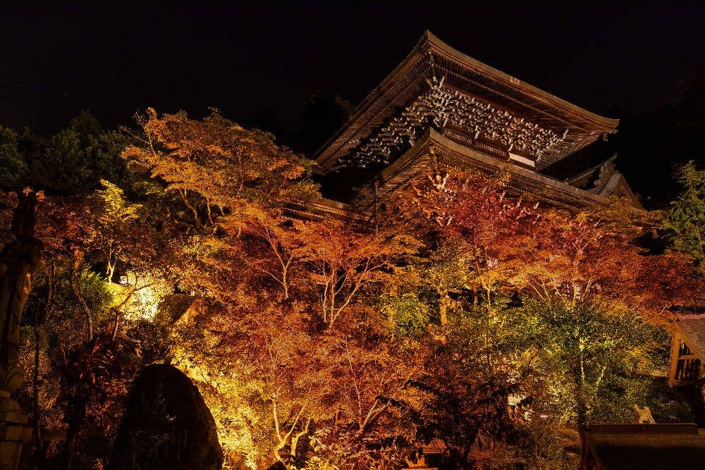 宮島・紅葉谷公園の紅葉