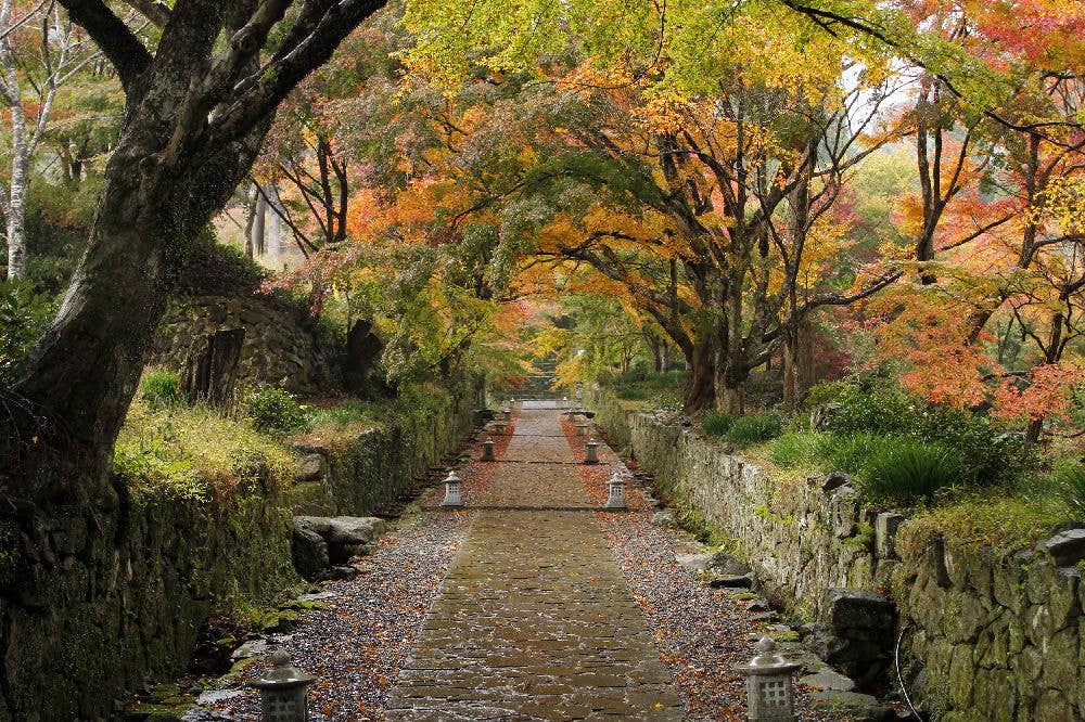 両子寺