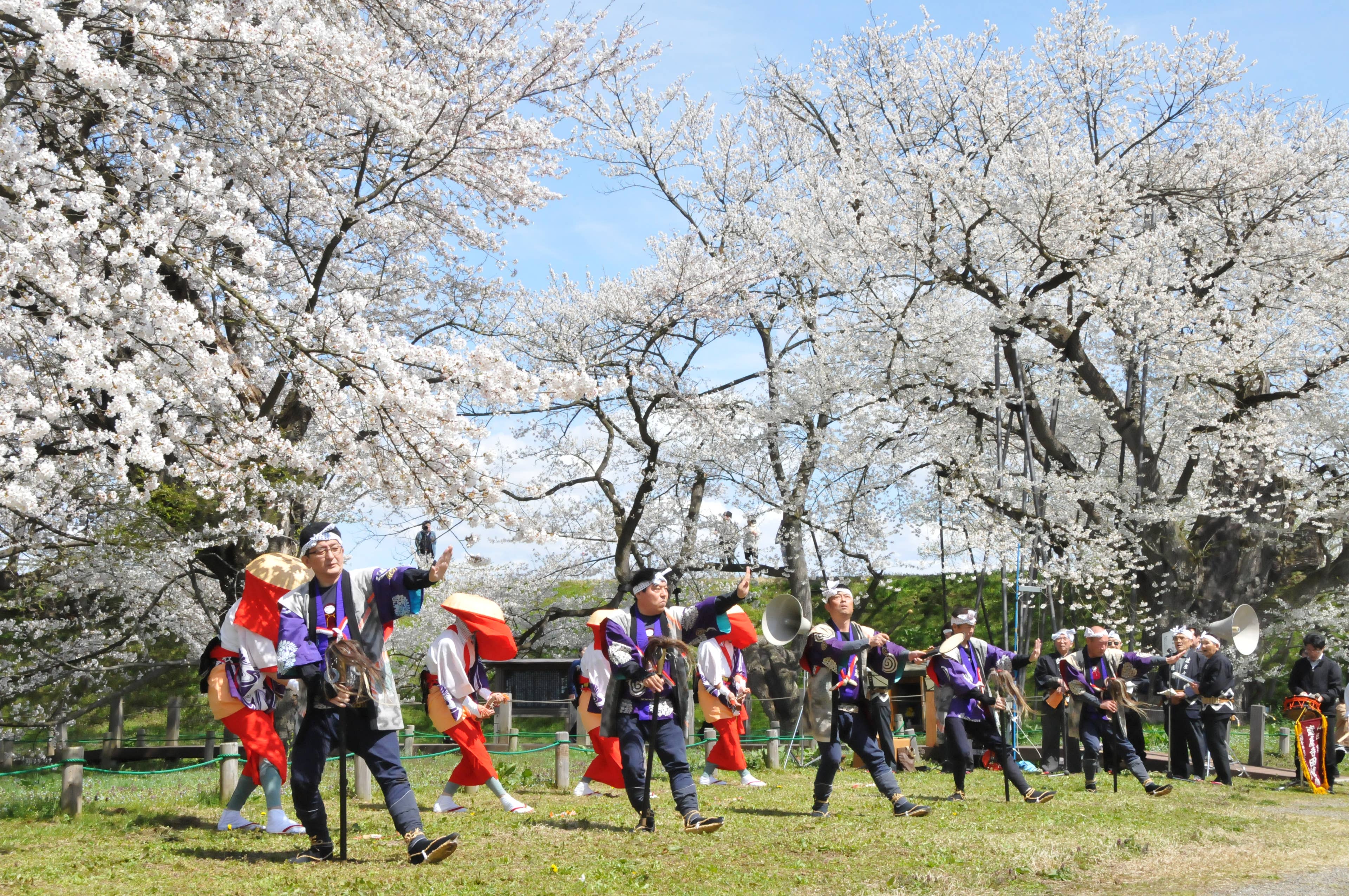 達磨寺田植踊り