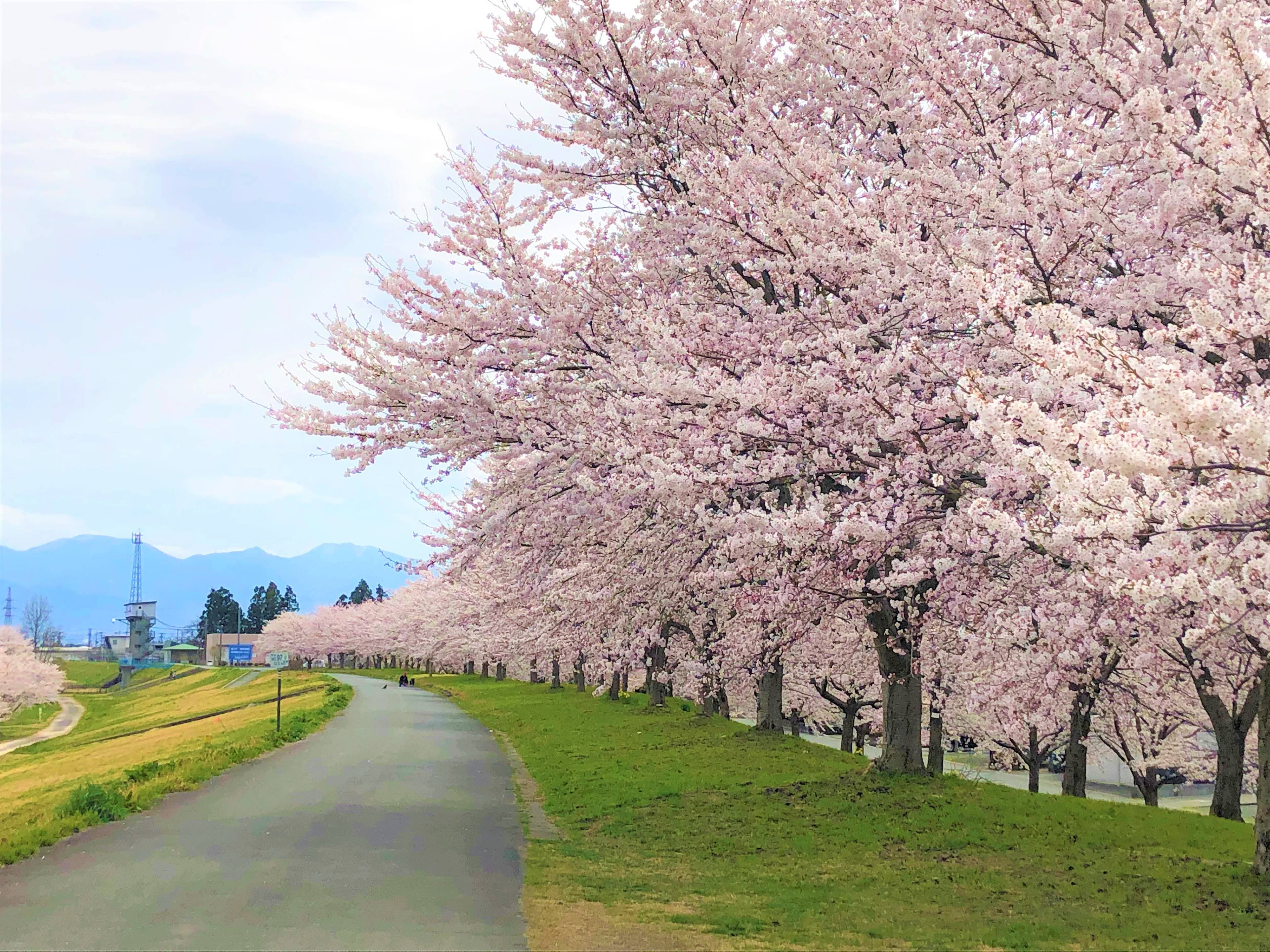 最上川中山緑地せせらぎ公園