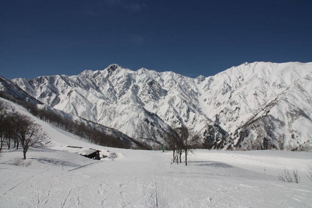 Hakuba47　ウインタースポーツパーク