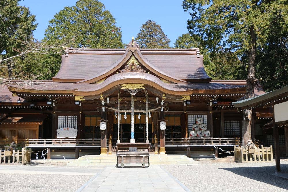 阿波一宮　大麻比古神社 初詣