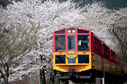 嵯峨野トロッコ列車